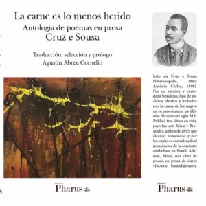 La carne es lo menos herido de Cruz e Sousa