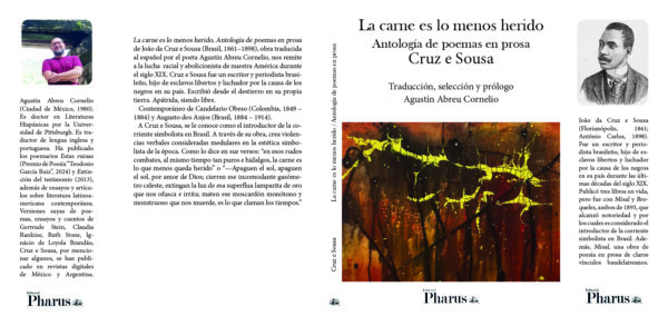 La carne es lo menos herido de Cruz e Sousa - Imagen 2