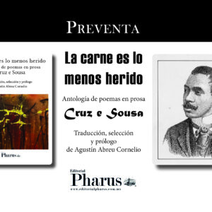 La carne es lo menos herido de Cruz e Sousa